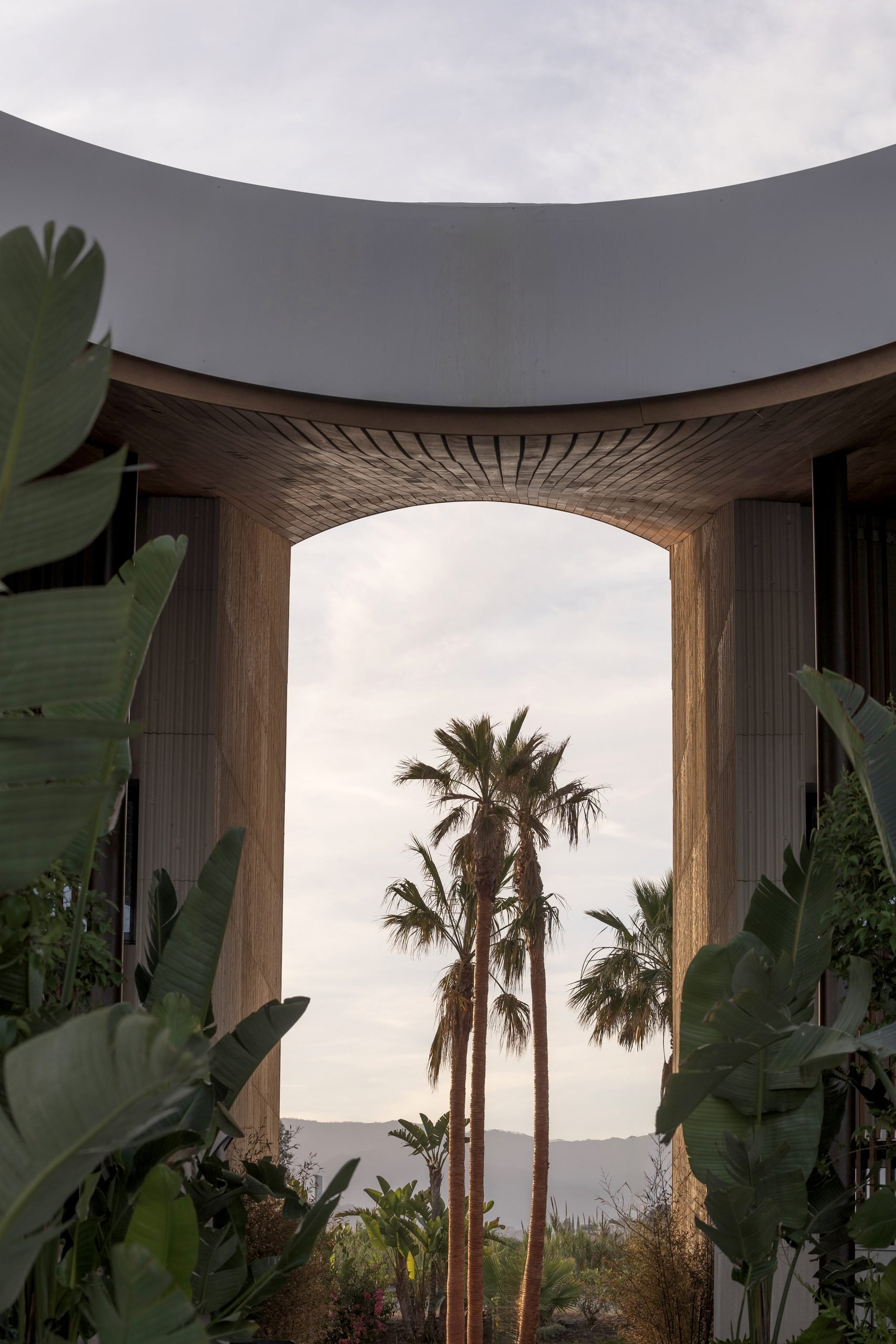 Arco con palmeras y vegetación — Archidom Laguna, Costa del Sol. Fotografía de Pedro Jaén