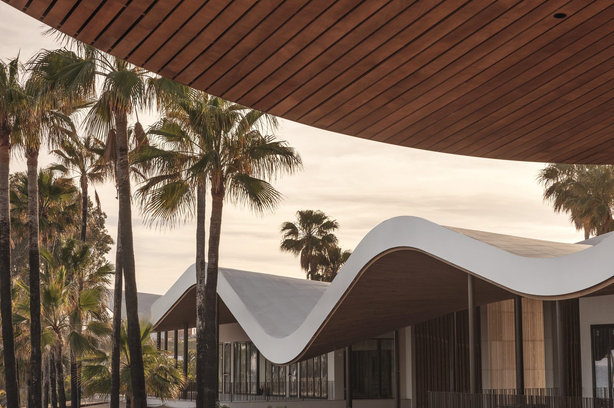 Cubierta blanca ondulante entre palmeras — Archidom Laguna, Costa del Sol. Fotografía de Pedro Jaén