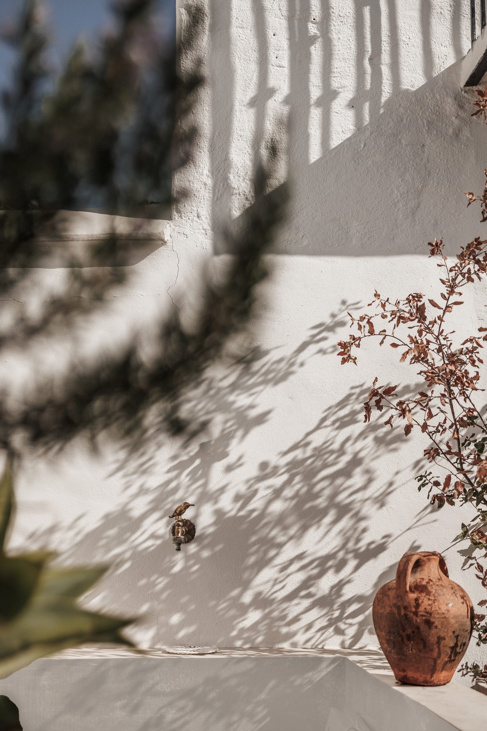 Sombras de ramas sobre muro encalado y vasija — El Naranjal Archidom, Costa del Sol. Fotografía de Pedro Jaén