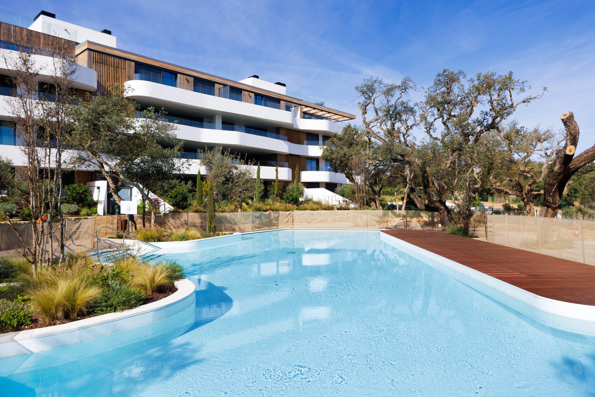 Piscina de formas curvas entre olivos y jardín — Sotogrande Village Verde, Sotogrande, Cádiz. Fotografía de Pedro Jaén